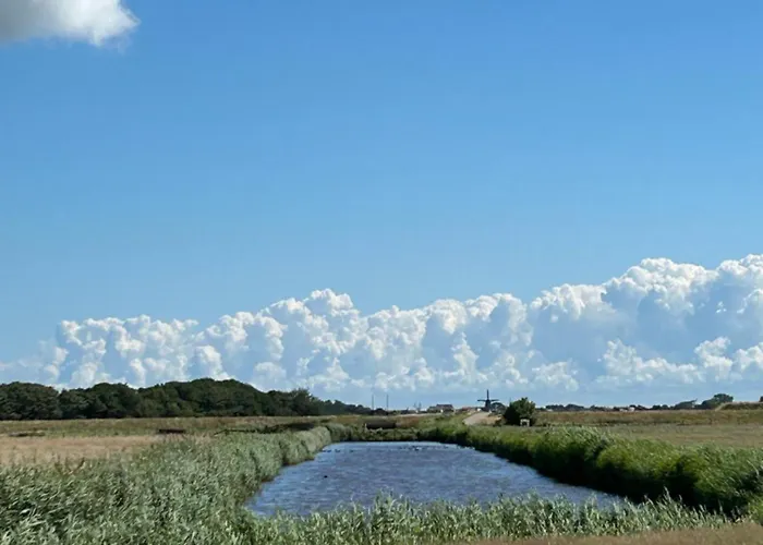 Gasthuis Afslag 5 Texel Bed By Brandenburg 3*