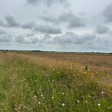 לינה וארוחת בוקר Afslag 5 Texel