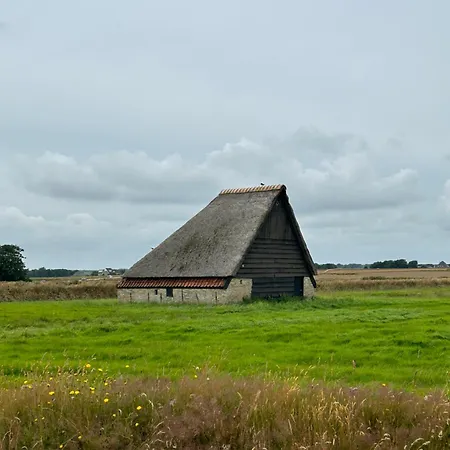 Afslag 5 Texel Bed By Brandenburg
