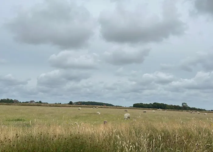 Afslag 5 Texel Bed By Brandenburg Den Burg
